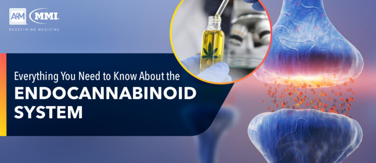 Everything You Need To Know About The Endocannabinoid System • A4M Blog